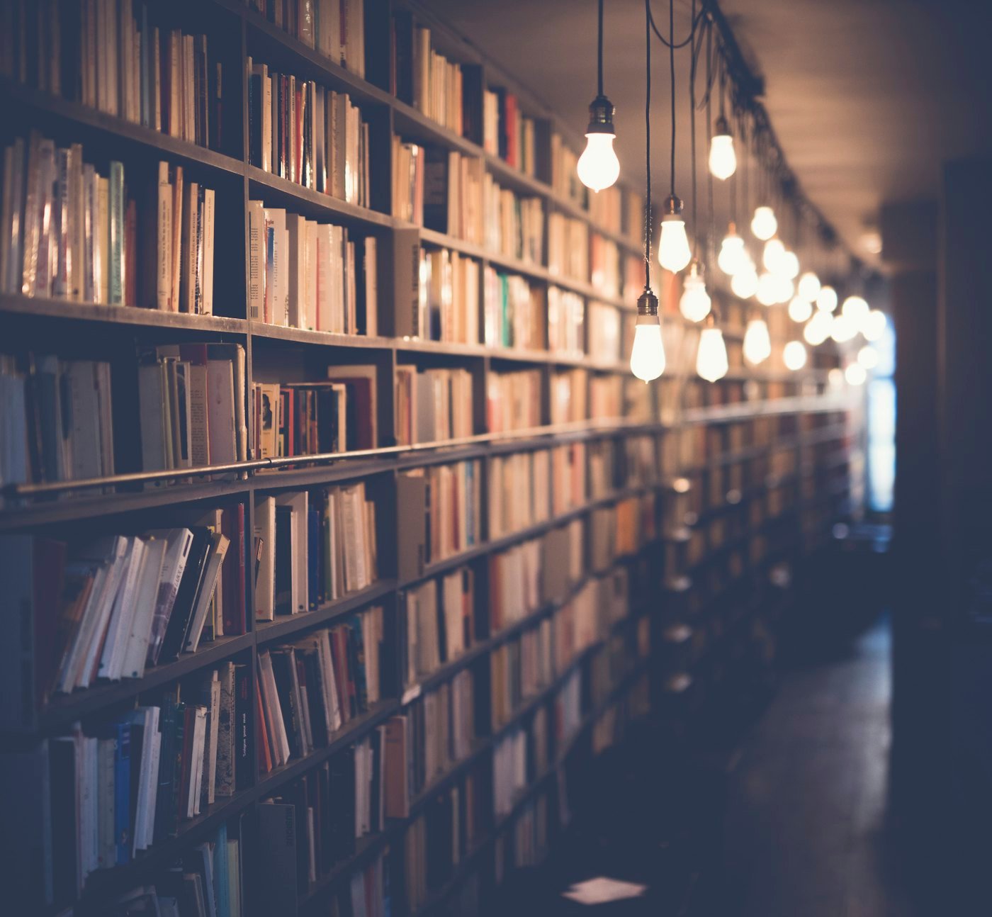 Organizational knowledge